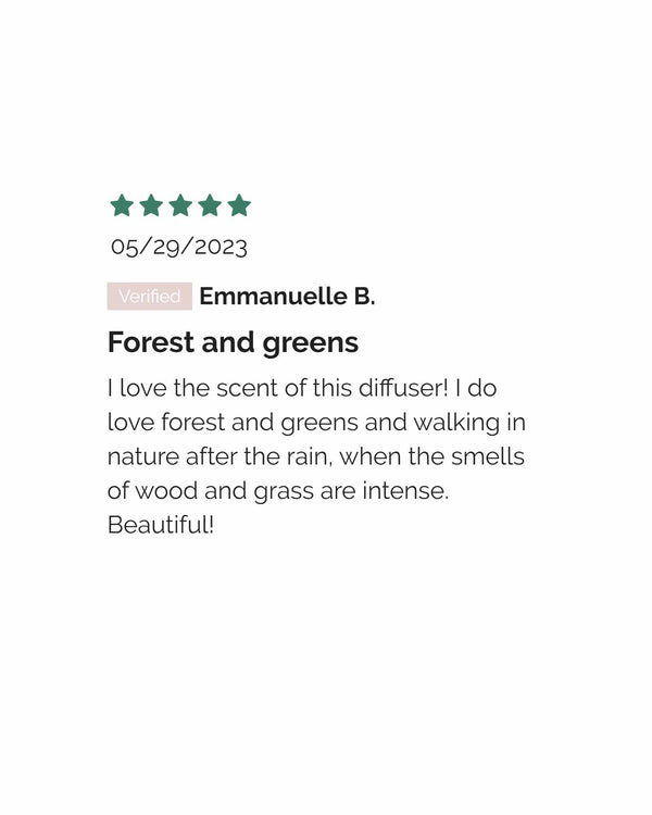 Homebody: Forest Reed Diffuser