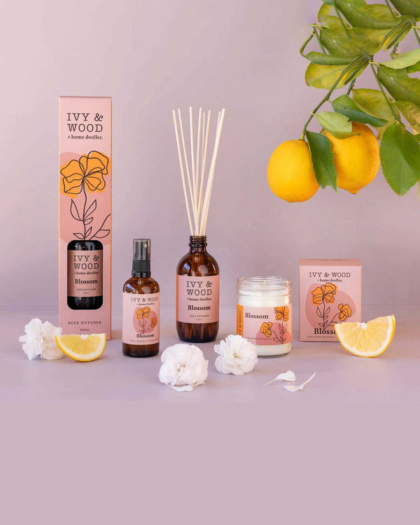 Homebody: Blossom Reed Diffuser